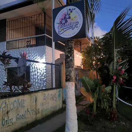 Cataleya Hostel Bocas Town Kültér fotó